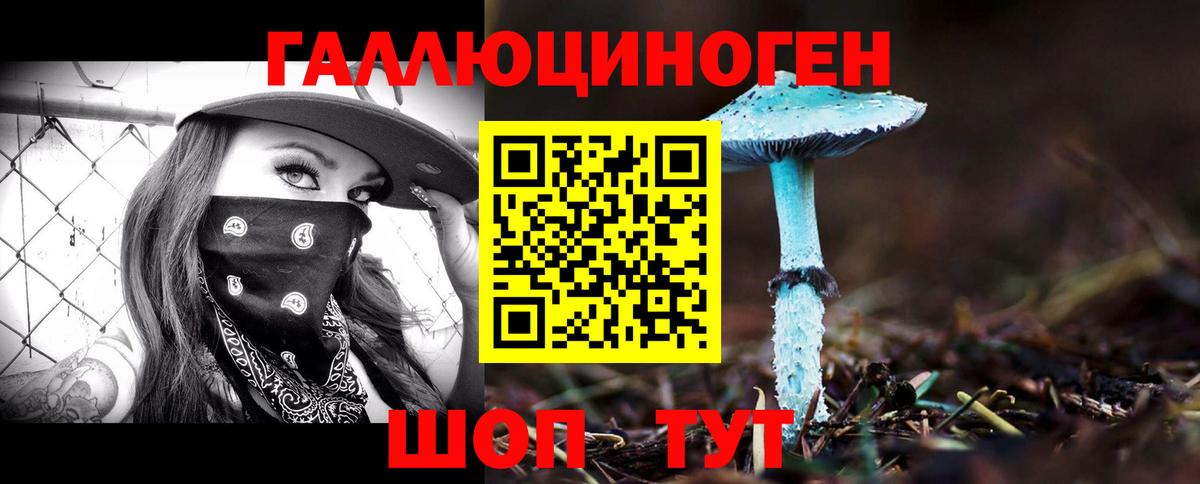 Галлюциногенные грибы Magic Shrooms  Вход с VPN  Галлюциногенные грибы Psilocybine cubensis  Прохладный 